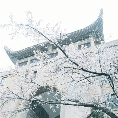 上海博物馆公布2018年展览计划 五大特展三大境外展值得期待